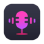ViWizard Streaming Audio Recorder