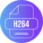 H264 Video Codec
