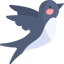 Swallow