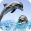 Living 3D Dolphin 1.0.2