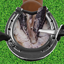 Horse Hoof Trimming & cleaning 1.0.4