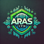 ARAS VPN 2.0.6