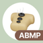 ABMP Exam Prep 2025 1.0.1