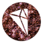 DXTBmp 1