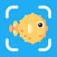 Fish Identifier by FishPic