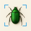 Bug Identifier & Spider,Insect 2.0.0