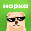 Norka X