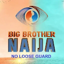 BBNaija 2025