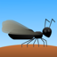 AntNupTracker