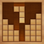 Classic Wooden Block Puzzle