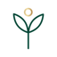 Natural Solutions Laundry