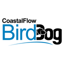 Coastal Flow BirdDog