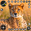 Wild Cheetah Simulator 3D