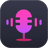 Audio Record Wizard