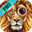 Insta Animal Face Maker Pro -  Change Your Face with Animals Stickers
