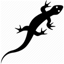 Effects Of Lizard