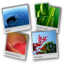 FotoWall 1