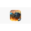 American Conquest 1.0.0.1
