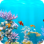 Marine Life 3D Screensaver 1.2