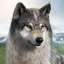 Wolf Game: Wild Animal Wars 1.0.78