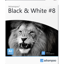 Ashampoo BLACK & WHITE #8 professional 8.25