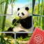 Jigzen Puzzles 29