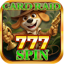 Card Raid 777 Spin 1.0