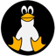 R-Linux 6.3.191253