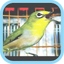 Masteran Kicau Pleci Mp3 16.0