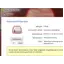 Backup Service Home 3.4.2