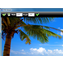 PSD Viewer