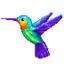 Colibri Number coloring 1.0