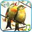 Birds Sounds & Ringtones 1.8