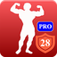 Home Workouts No Equipment Pro 113.19