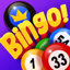 Bingo Family: Online Bingo 1.17