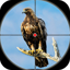 Desert Birds Sniper Shooter 3D 4.1