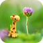 DSLR Camera Effect Maker 3.0