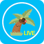 Yaja Live Video Chat 3.1.6aY