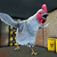 Evil Chicken: Scary Escape 2.2