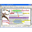 VeryPDF PDF Editor 2.60
