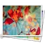 Image Gallery 3.3
