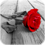 Photo Art - Color Effects 1.8.10
