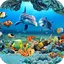 Koi Fish Live Wallpaper 3D 3.9