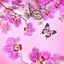 Pink Flowers Live Wallpaper 9.0
