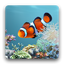 aniPet Aquarium LiveWallpaper 2.5.2