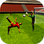 Soccer 3D Game 2015 1.0