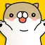 Joke cat 3.6