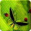 Friendly Bugs Free L.Wallpaper 2.3