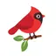 Name the bird! 1.3
