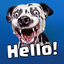 WildEmotions: add text to photos with animal cards 1.2